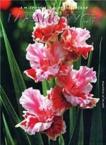 Гладиолусы