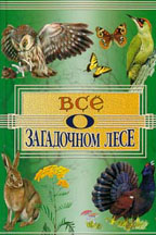 Все о загадочном лесе: детская энциклопедия