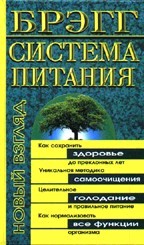Брэгг - система питания