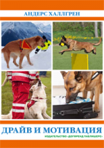 Драйв и мотивация