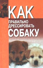 Как правильно дрессировать собаку
