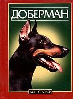 Доберман