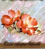 Если сердце верит