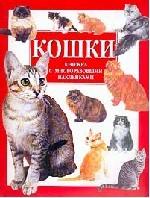 Кошки