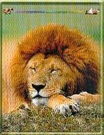 Иллюстрированная энциклопедия животных