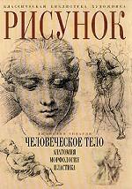 Рисунок. Человеческое тело. Анатомия, морфология, пластика