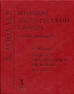 Большой англо-русский словарь