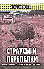 Страусы и перепелки: разведение, содержание, бизнес
