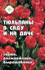 Тюльпаны в саду и на даче