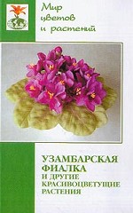 Узамбарская фиалка