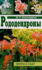 Рододендроны