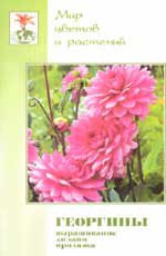 Георгины. Выращивание, дизайн, продажа