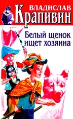 Белый щенок ищет хозяина