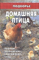 Домашняя птица: породы, разведение, содержание, уход