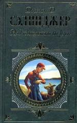 Над пропастью во ржи