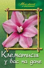 Клематисы у вас на даче