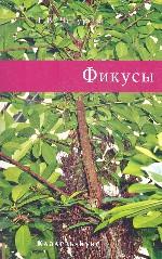 Фикусы