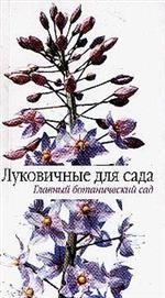 Луковичные для сада