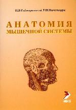 Анатомия мышечной системы. Мышцы, фасции и топография