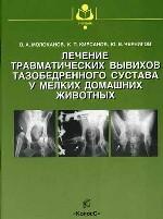 Лечение травматических вывихов тазобедренного сустава у мелких домашних животных