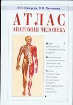 Атлас анатомии человека