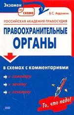 Правоохранительные органы в схемах с комментариями. Учебное пособие