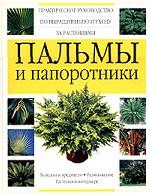 Пальмы и папоротники
