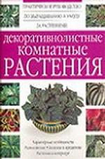 Декоративнолистные комнатные растения