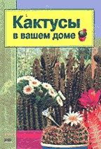 Кактусы в вашем доме