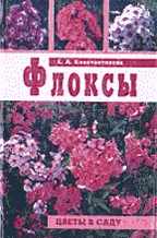 Флоксы. Цветы в саду