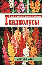 Гладиолусы