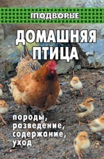 Домашняя птица: породы, разведение, содержание, уход