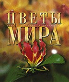 Цветы мира