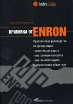 Прививка от Enron. Практическое руководство по организации комитета по аудиту, внутреннего контроля и внутреннего аудита в акционерных обществах