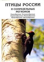 Птицы России и сопредельных регионов. Совообразные, Козодоеобразные, Стрижеобразные, Ракшеобразные, Удодообразные, Дятлообразные