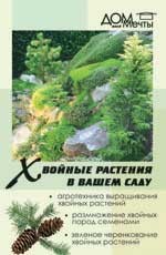 Хвойные растения в вашем саду