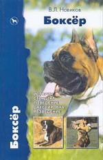 Боксер