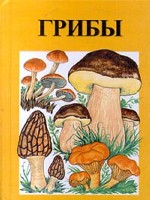 Грибы. Справочник