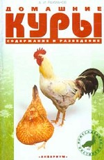 Домашние куры. Породы. Содержание. Уход. Разведение