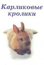 Карликовые кролики