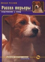 Рассел терьеры. Содержание и уход