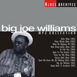 Big Joe Williams
