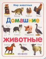 Домашние животные