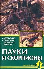Пауки и скорпионы. Содержание. Разведение