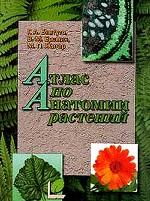 Атлас по анатомии растений