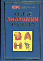 Атлас анатомии человека