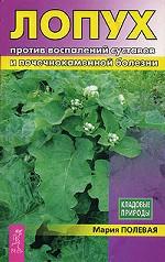 Лопух против воспалений суставов и почечнокаменной болезни