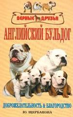 Английский бульдог