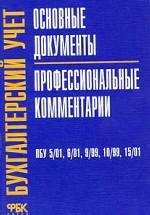 Бухгалтерский учет основные документы. Профессиональный комментарий