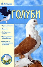 Голуби
